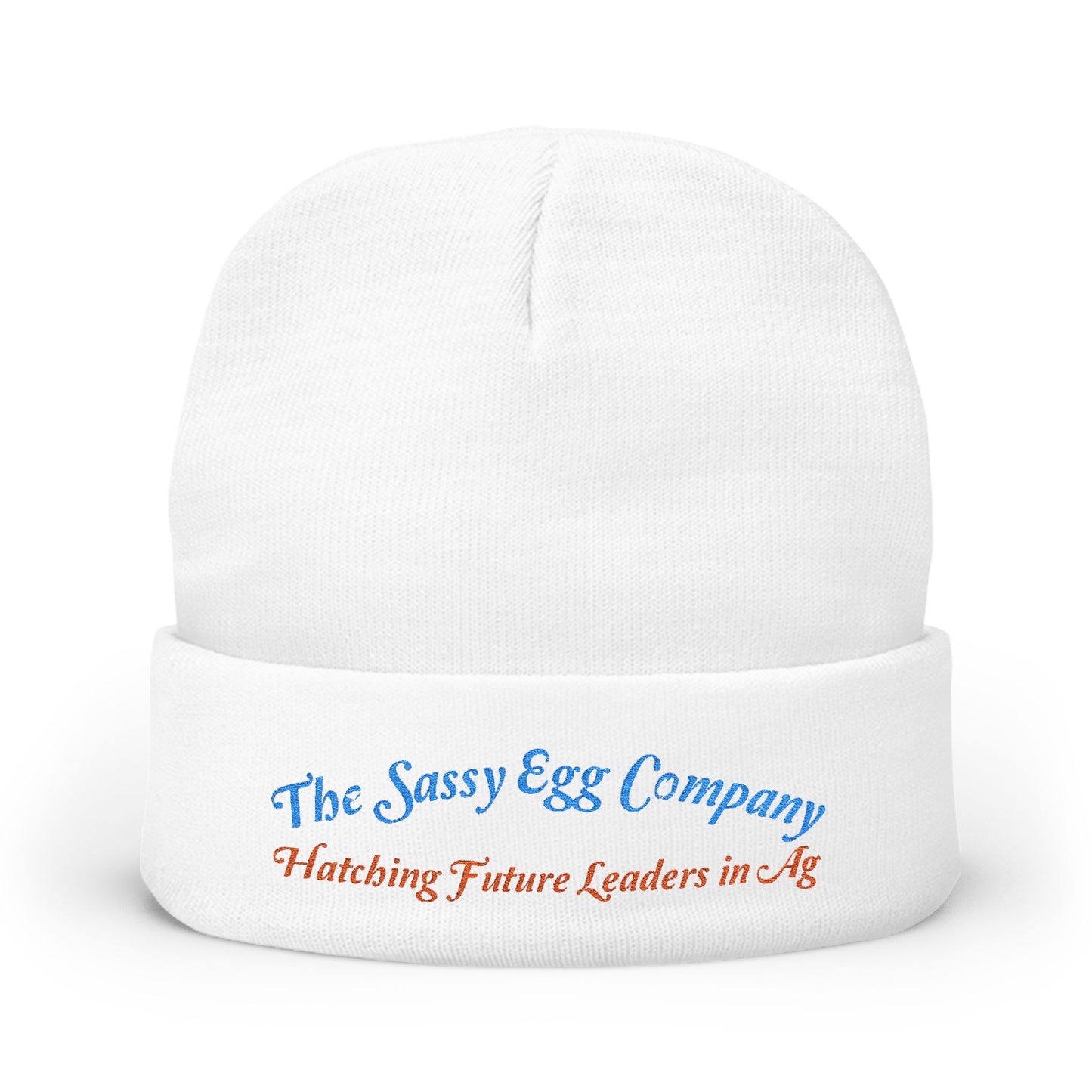 Knit Beanie (Embroidery)