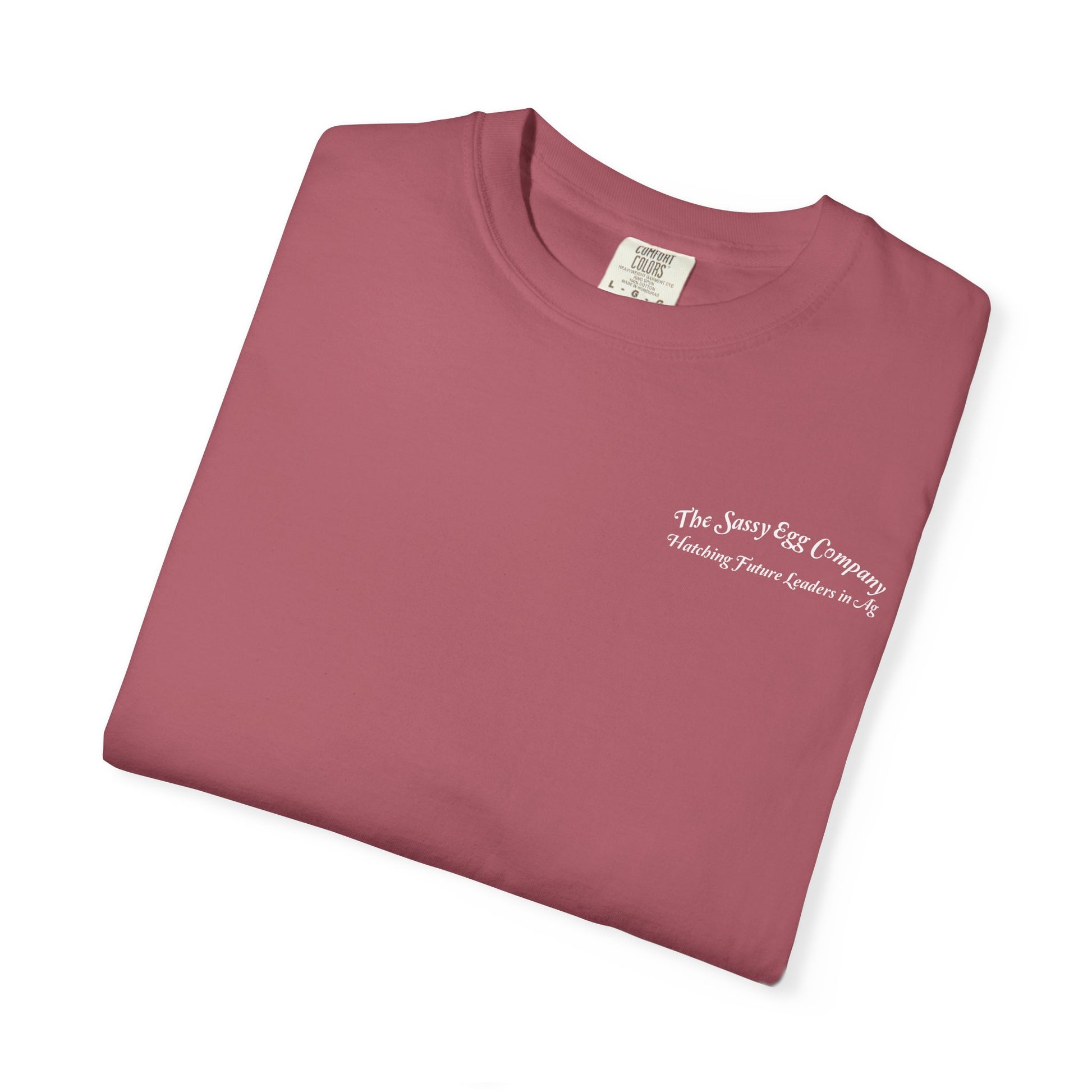 Single Color Logo Tshirt