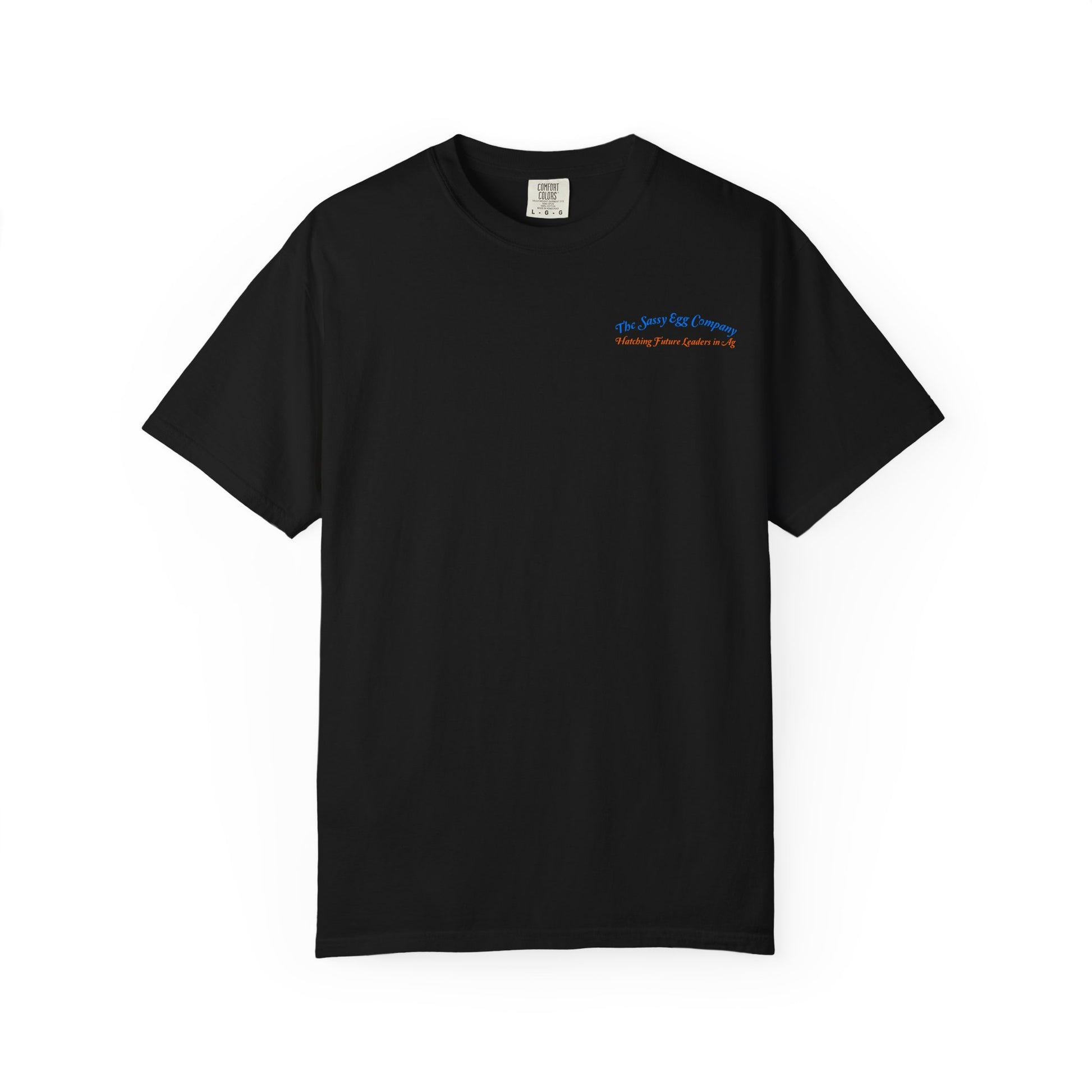 Colored Logo Comfort Colors Tshirt