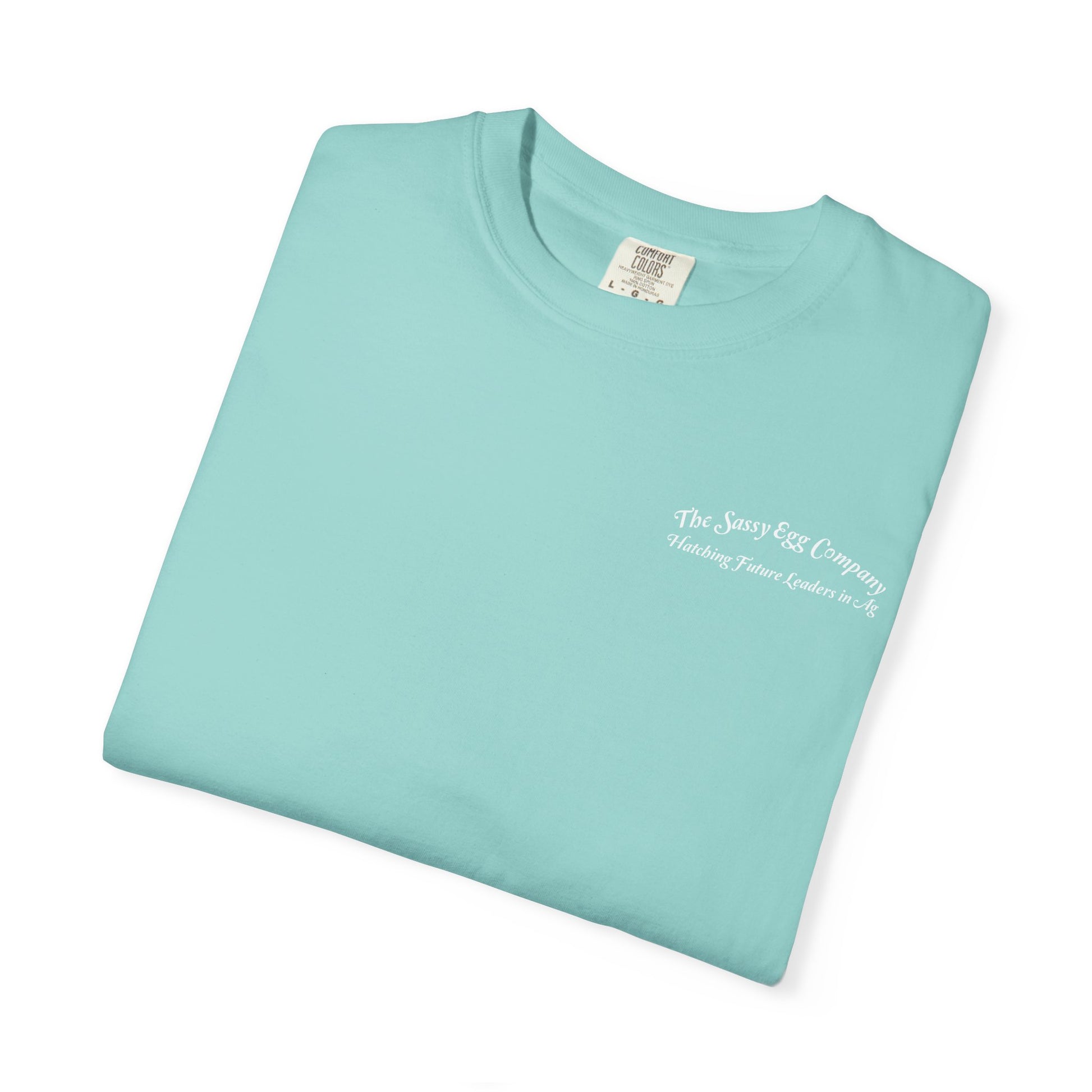 Single Color Logo Tshirt