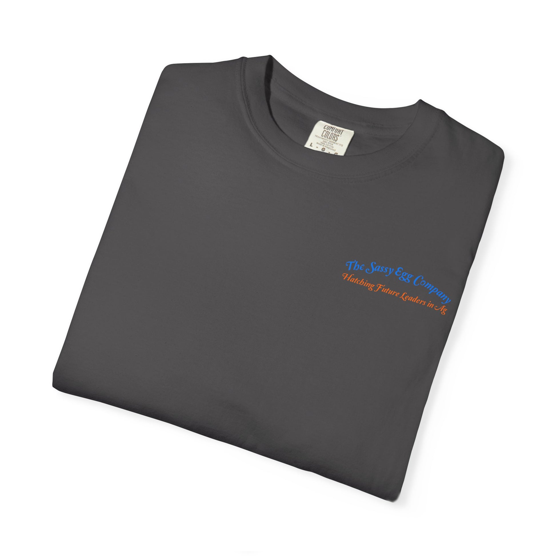 Colored Logo Comfort Colors Tshirt