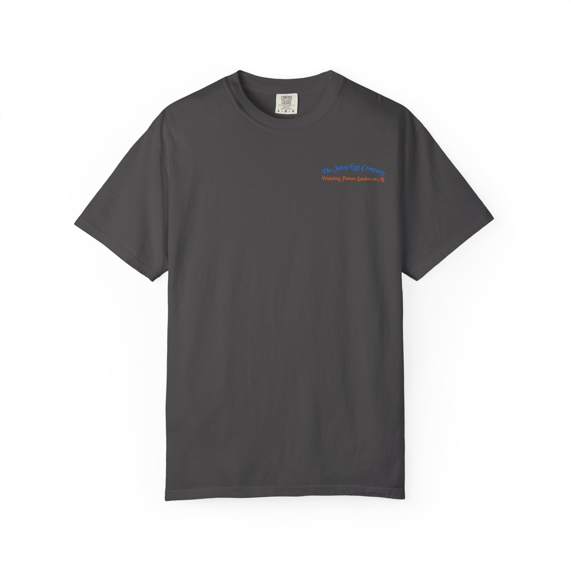 Colored Logo Comfort Colors Tshirt