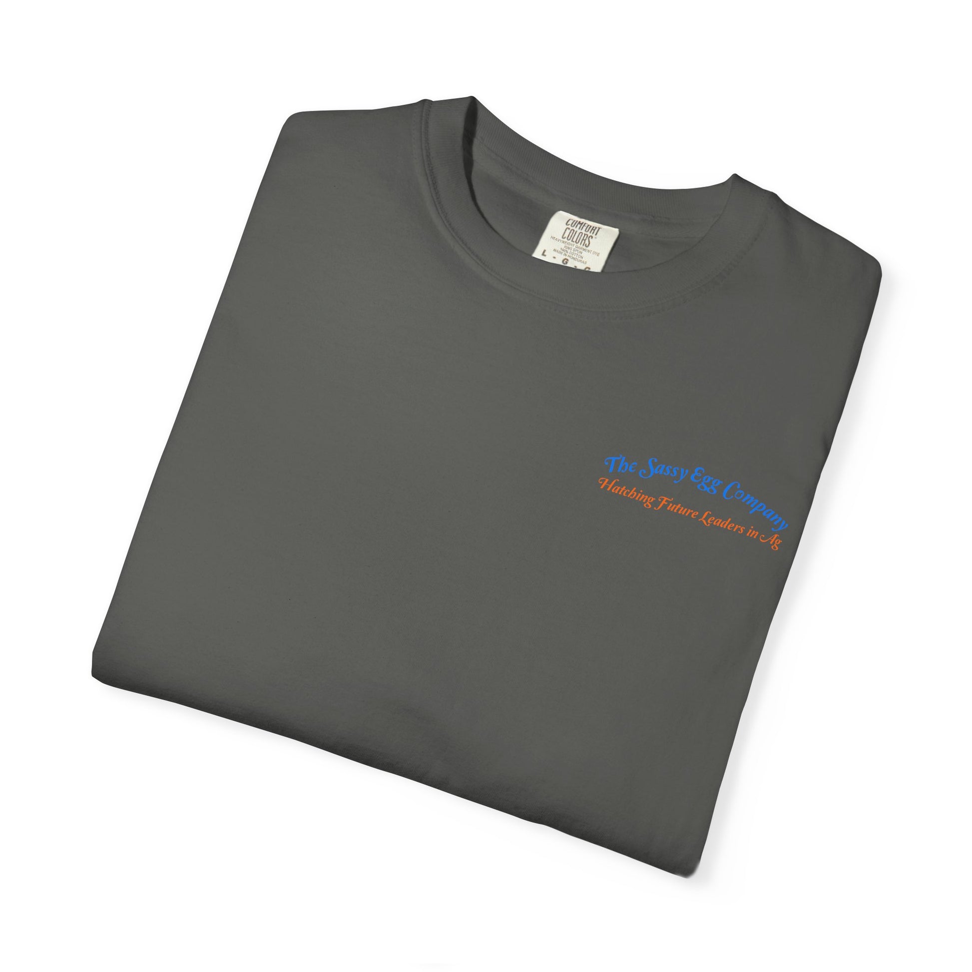 Colored Logo Comfort Colors Tshirt