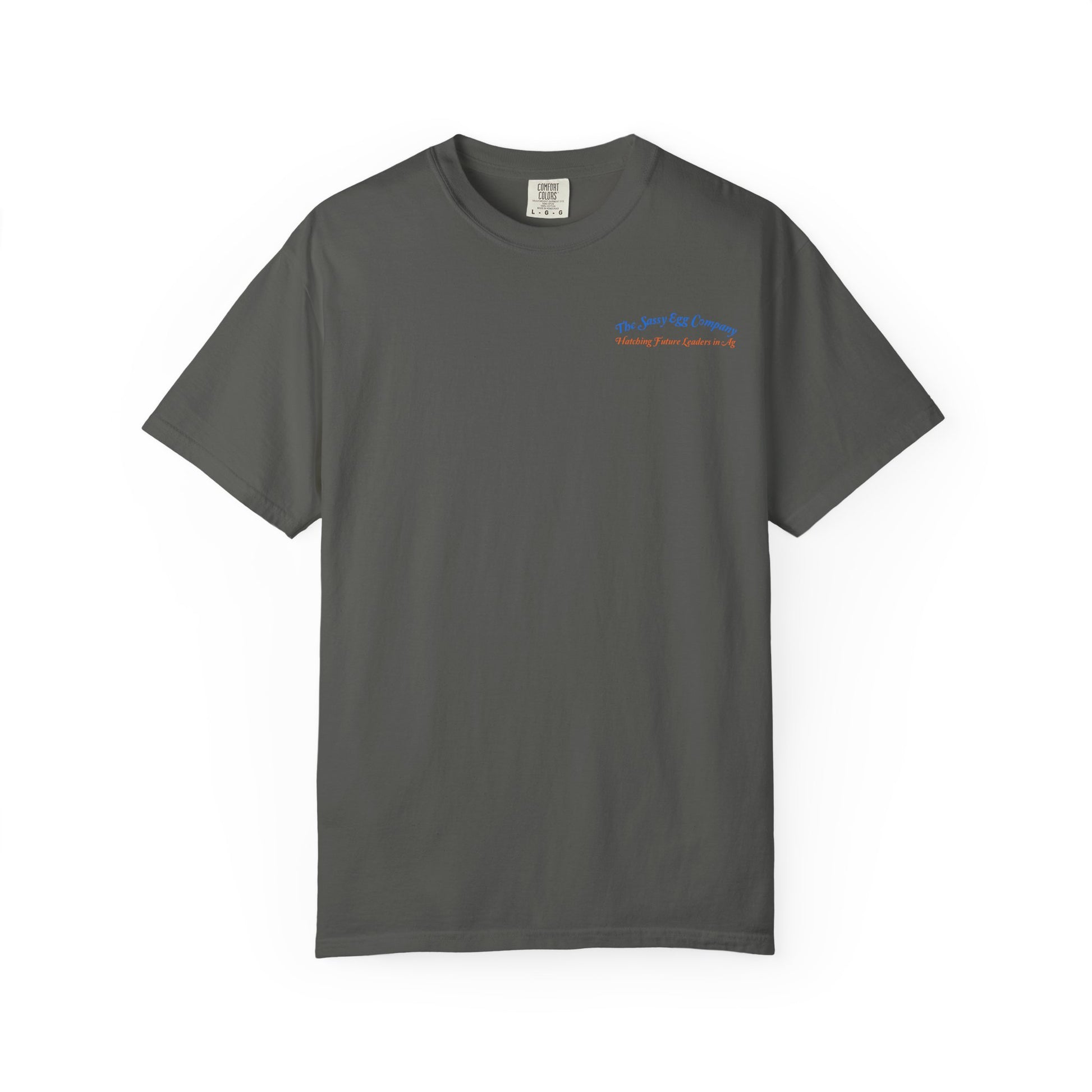 Colored Logo Comfort Colors Tshirt
