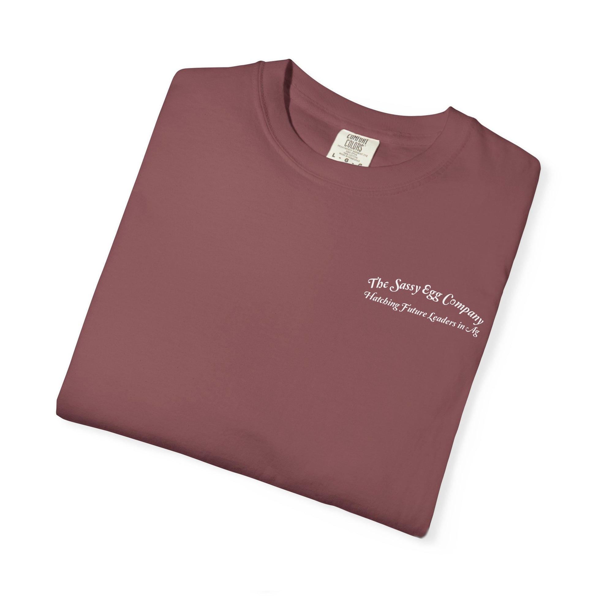 Single Color Logo Tshirt