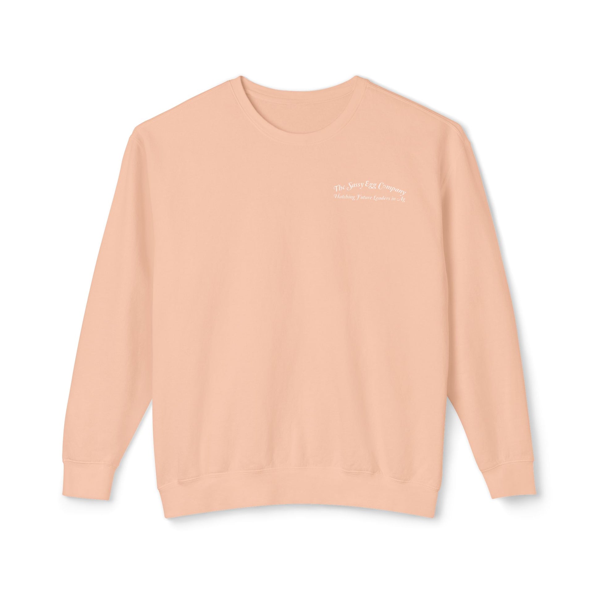 Adult Comfort Colors Lightweight Crewneck