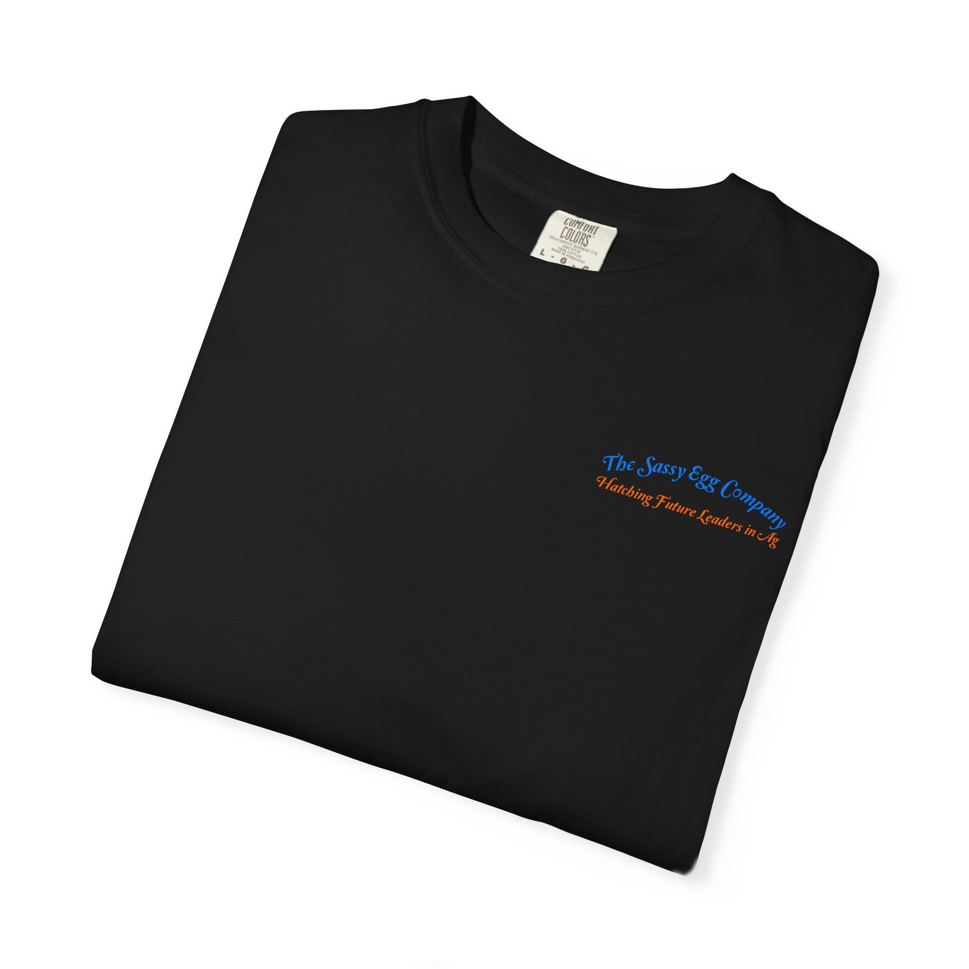 Colored Logo Comfort Colors Tshirt
