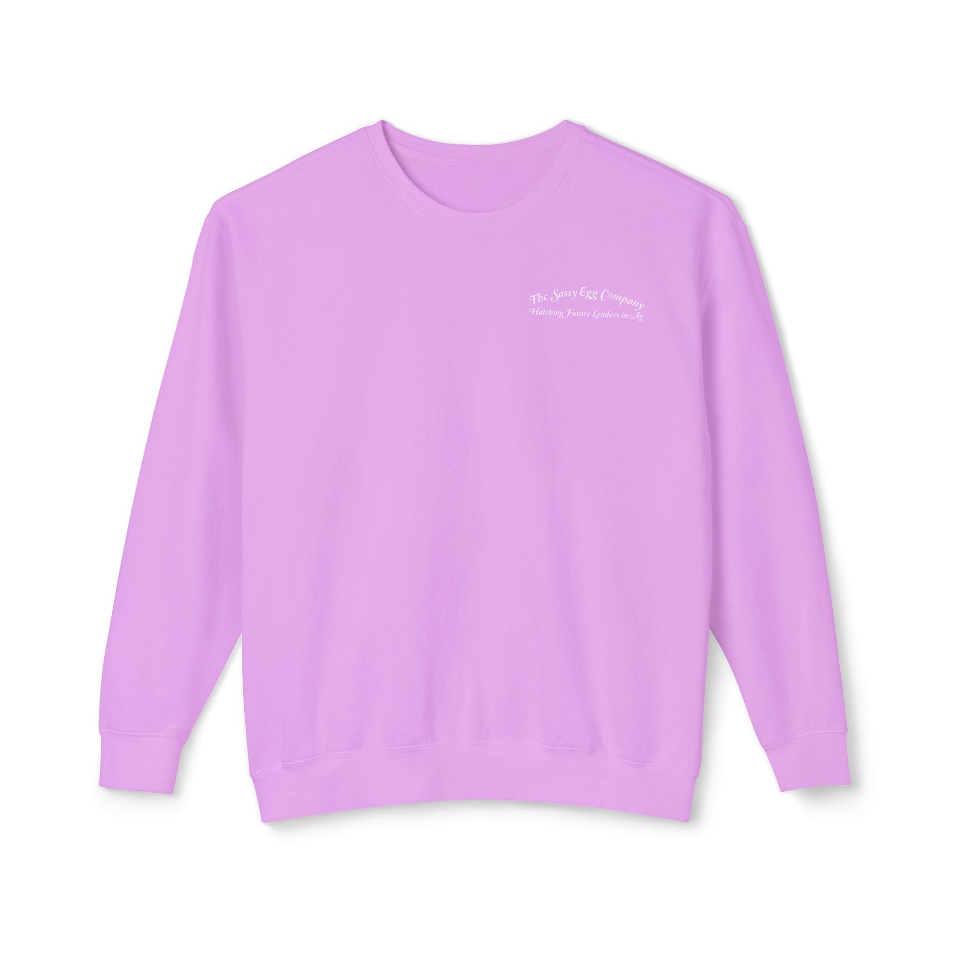 Adult Comfort Colors Lightweight Crewneck