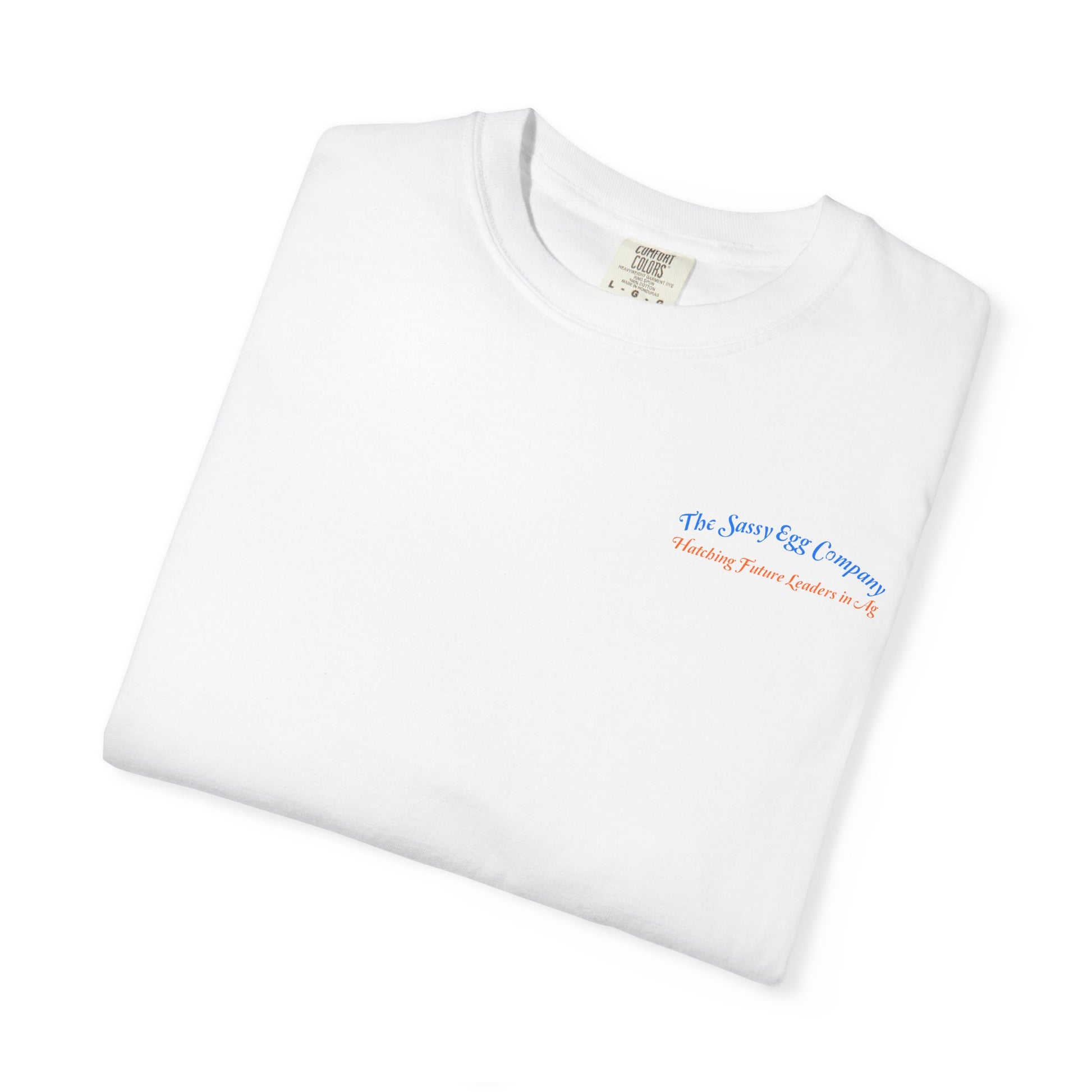 Colored Logo Comfort Colors Tshirt