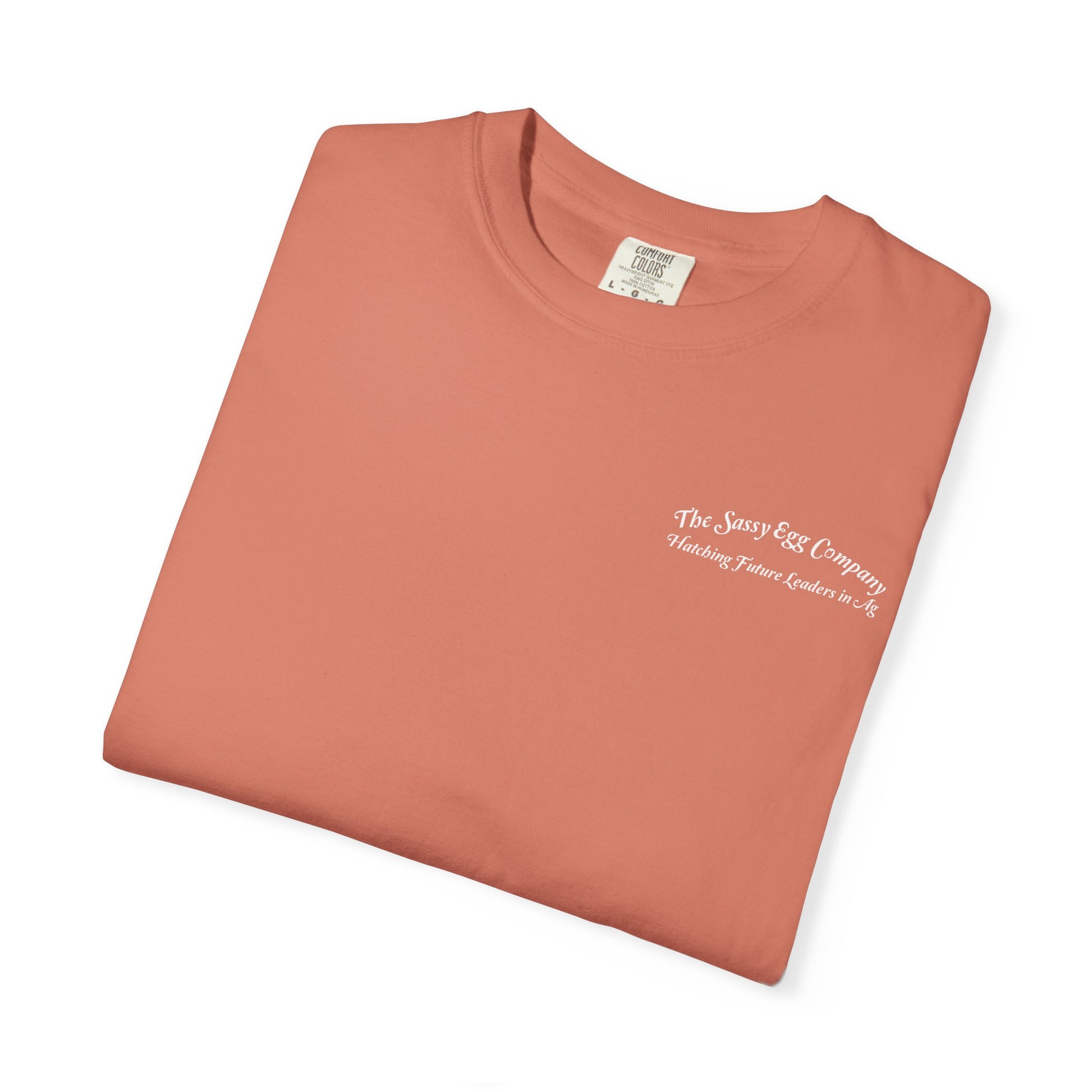 Single Color Logo Tshirt