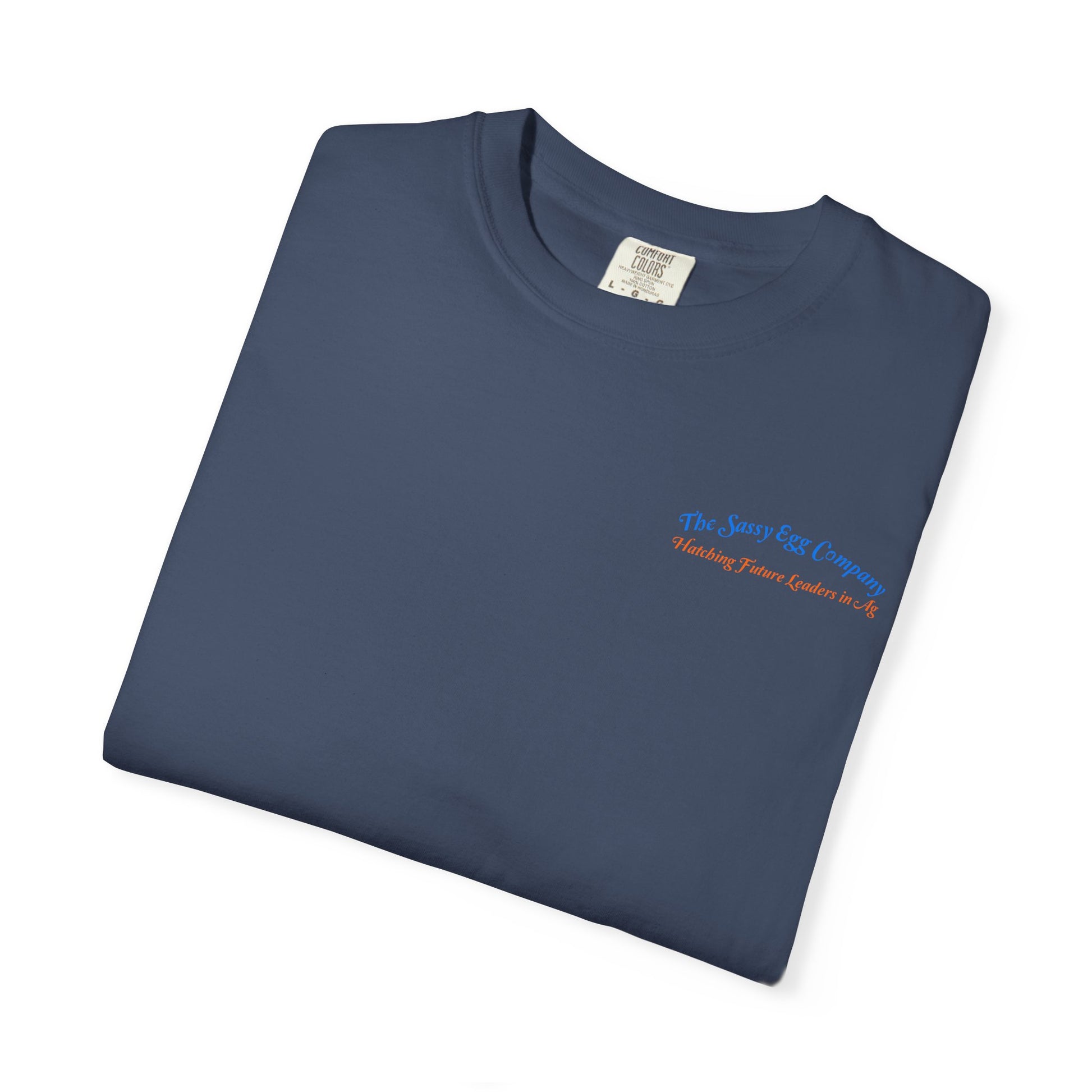 Colored Logo Comfort Colors Tshirt